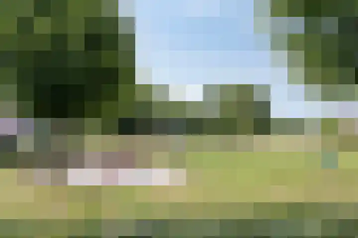 Burcht 25 Veldhoven thumbnail 44