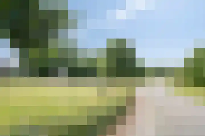 Burcht 25 Veldhoven thumbnail 45