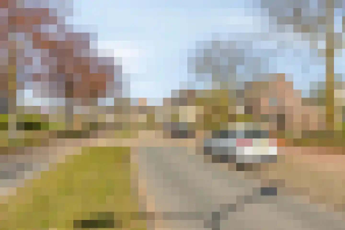 Burcht 26 Veldhoven thumbnail 22
