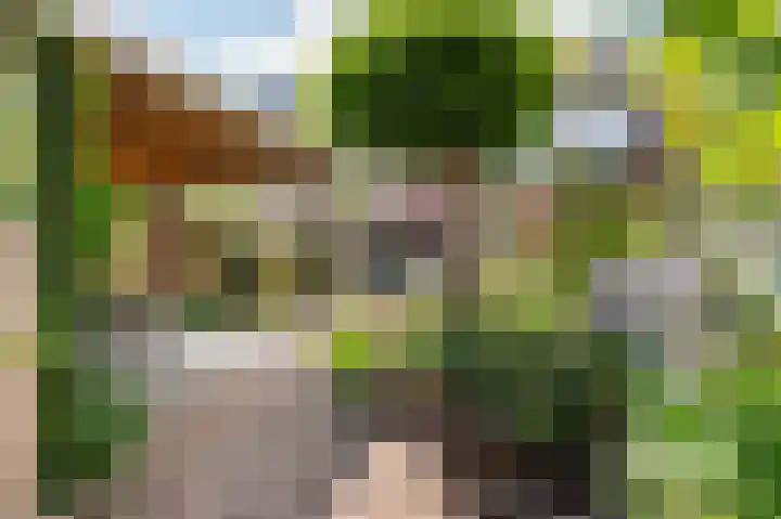 Burcht 27 Almelo thumbnail 20