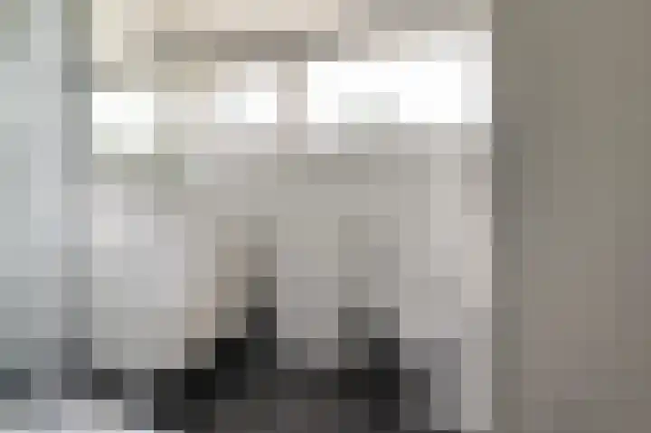 Burcht 27 Almelo thumbnail 33