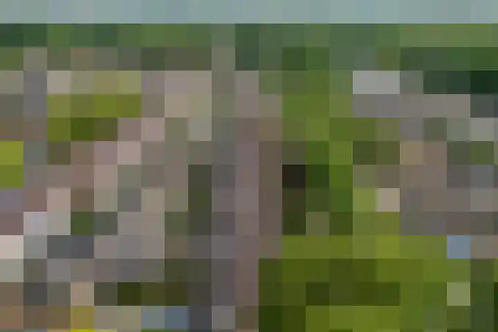 Burcht 27 Almelo thumbnail 44