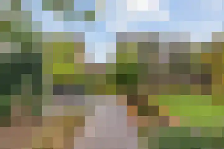 Burcht 28 Veldhoven thumbnail 29