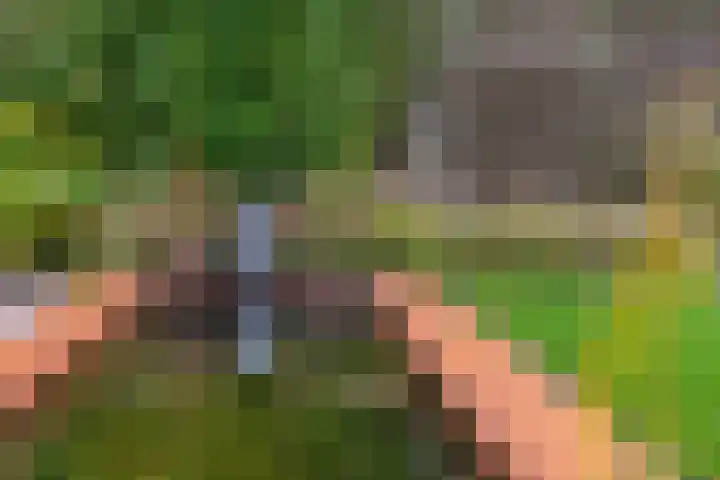 Burcht 28 Veldhoven thumbnail 32