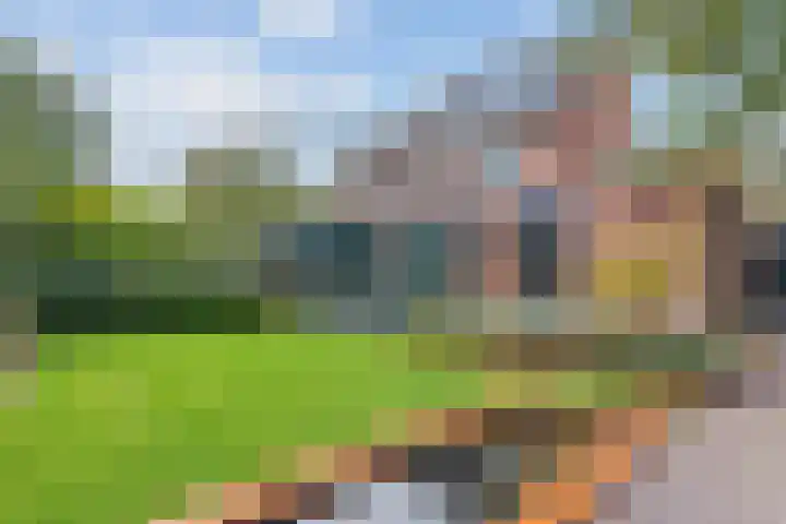 Burcht 28 Veldhoven thumbnail 4