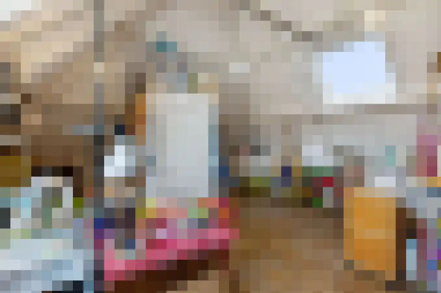 Burcht 32 Veldhoven thumbnail 36