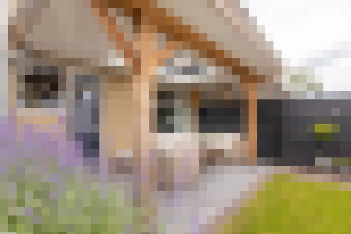 Burcht 33 Almelo thumbnail 31