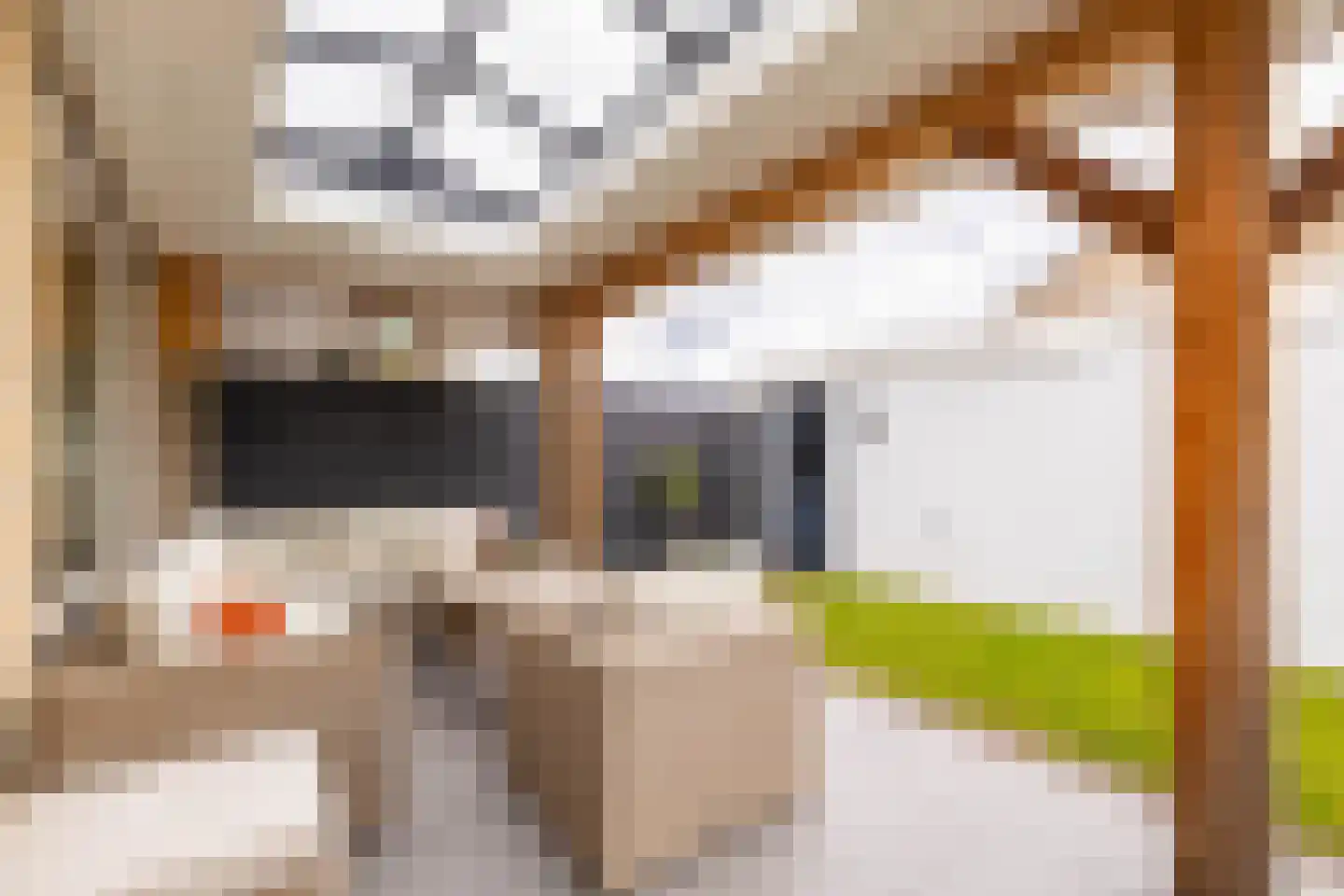Burcht 33 Almelo thumbnail 32