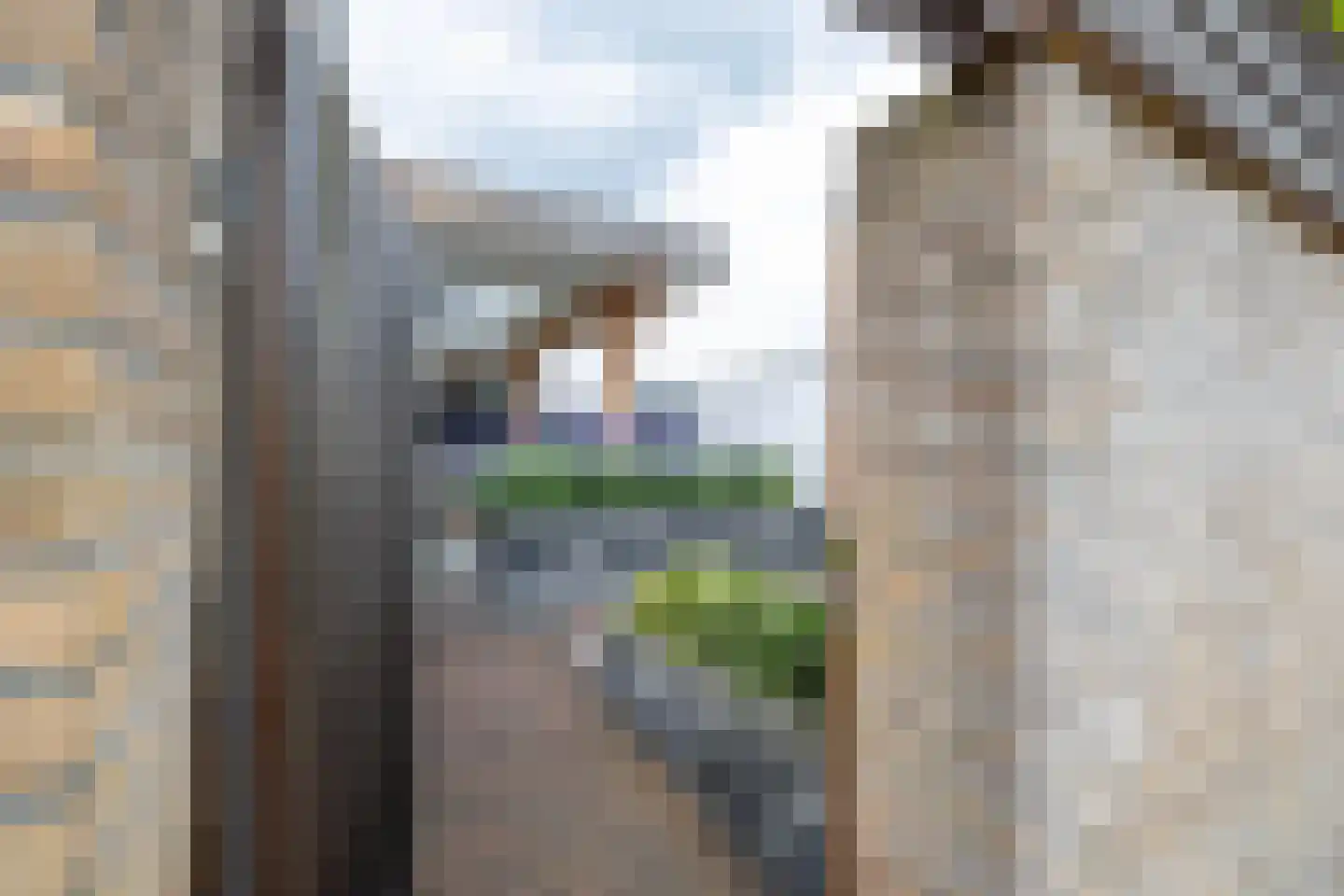Burcht 33 Almelo thumbnail 36