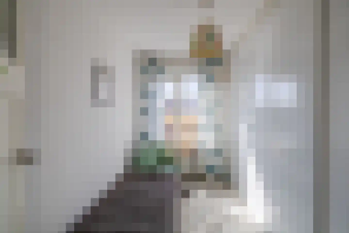Burcht 7 A Zaandam thumbnail 35