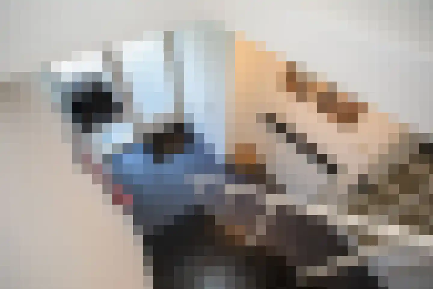 Burcht 7 Almelo thumbnail 11
