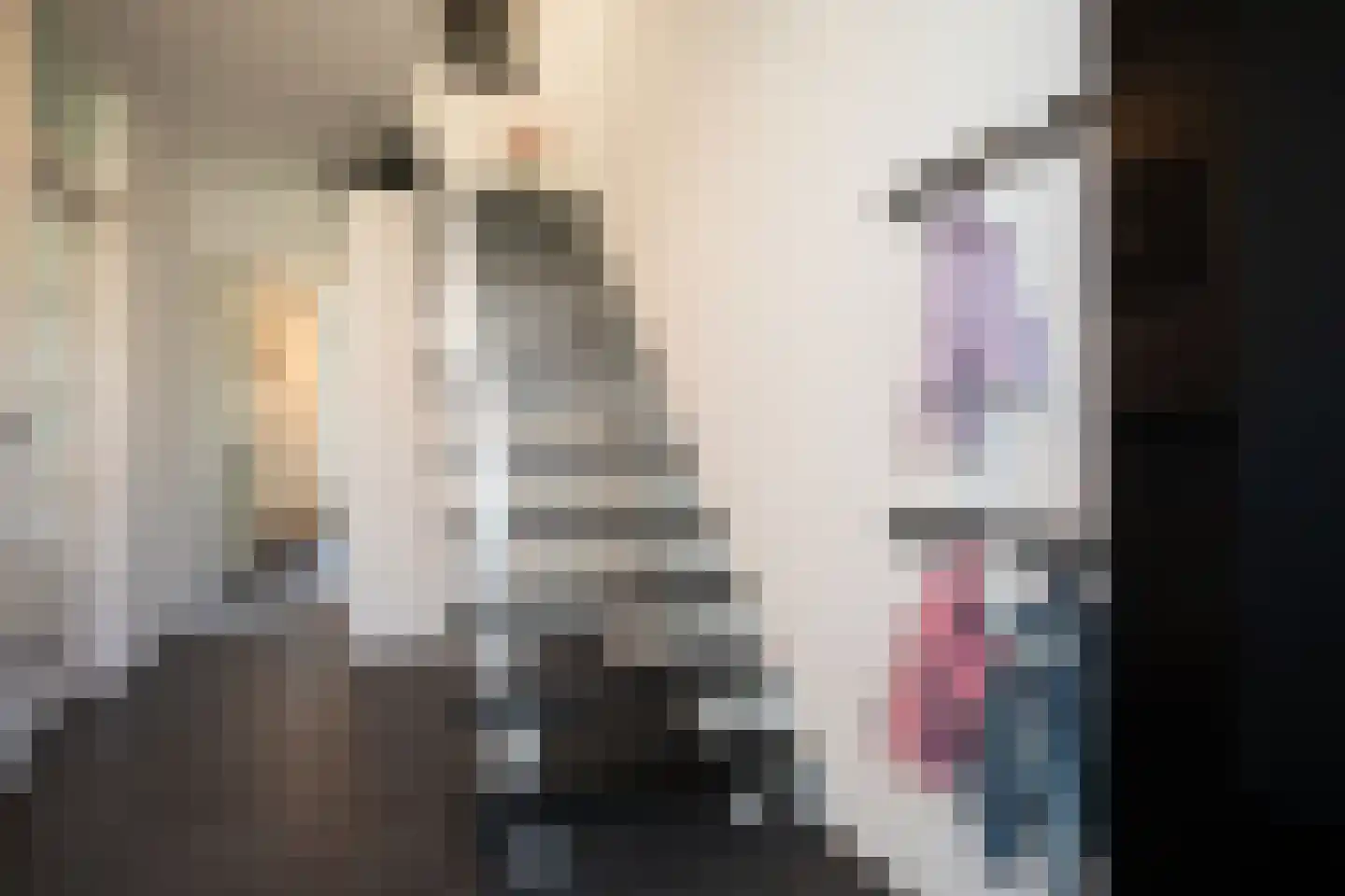 Burcht 7 Almelo thumbnail 12