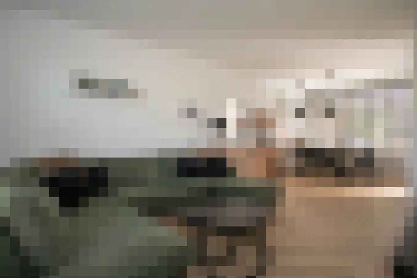 Burcht 7 Almelo thumbnail 15