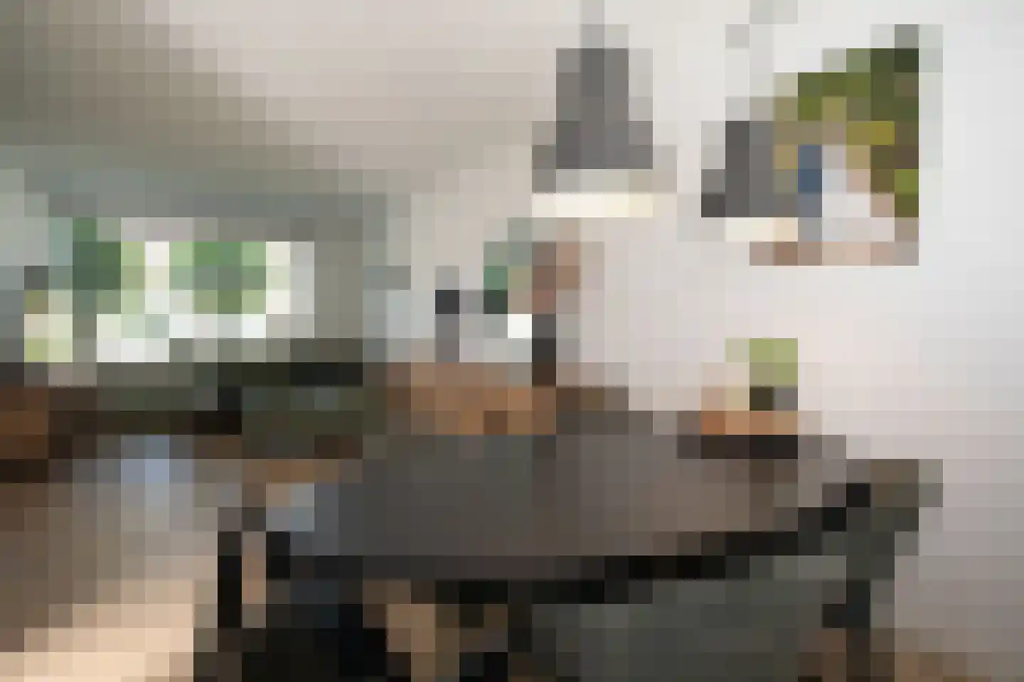 Burcht 7 Almelo thumbnail 19