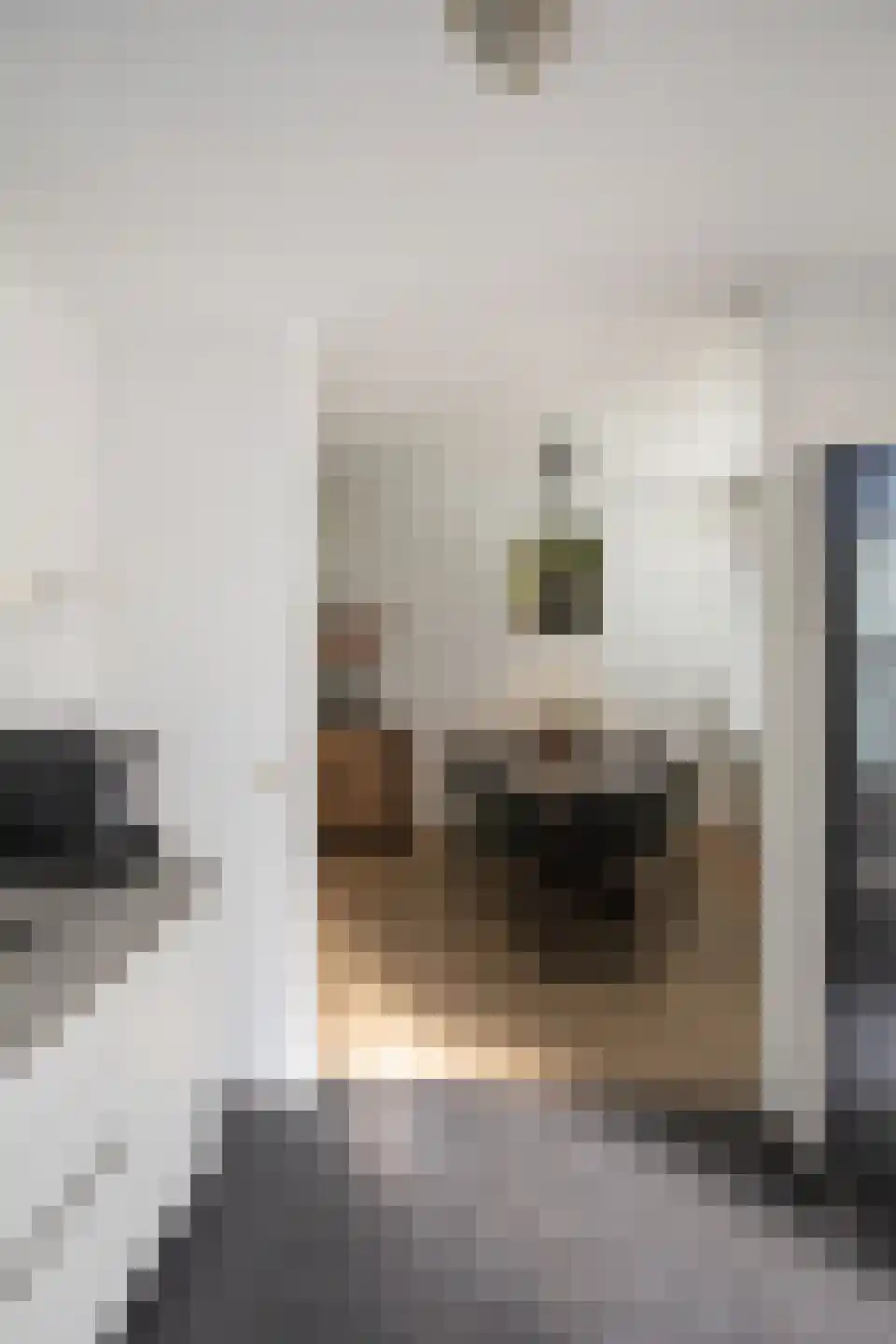 Burcht 7 Almelo thumbnail 23