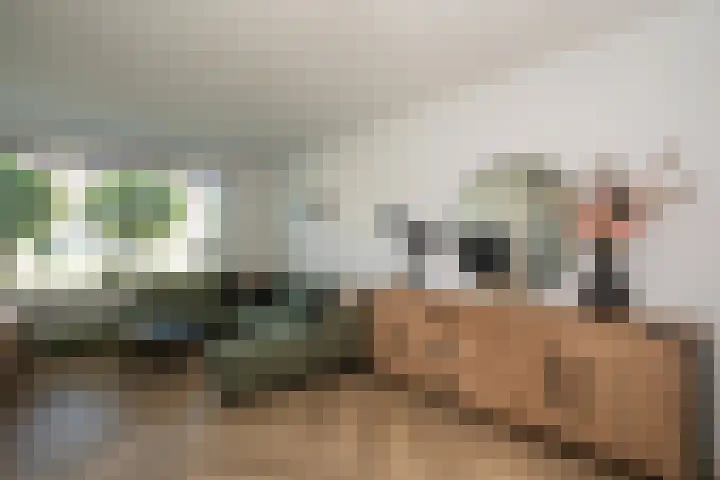 Burcht 7 Almelo thumbnail 24