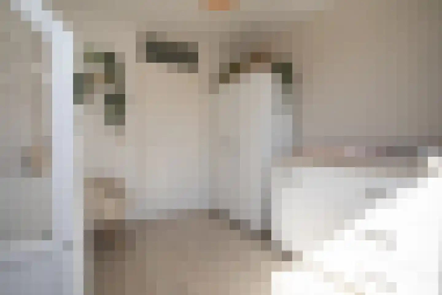 Burcht 7 Almelo thumbnail 37