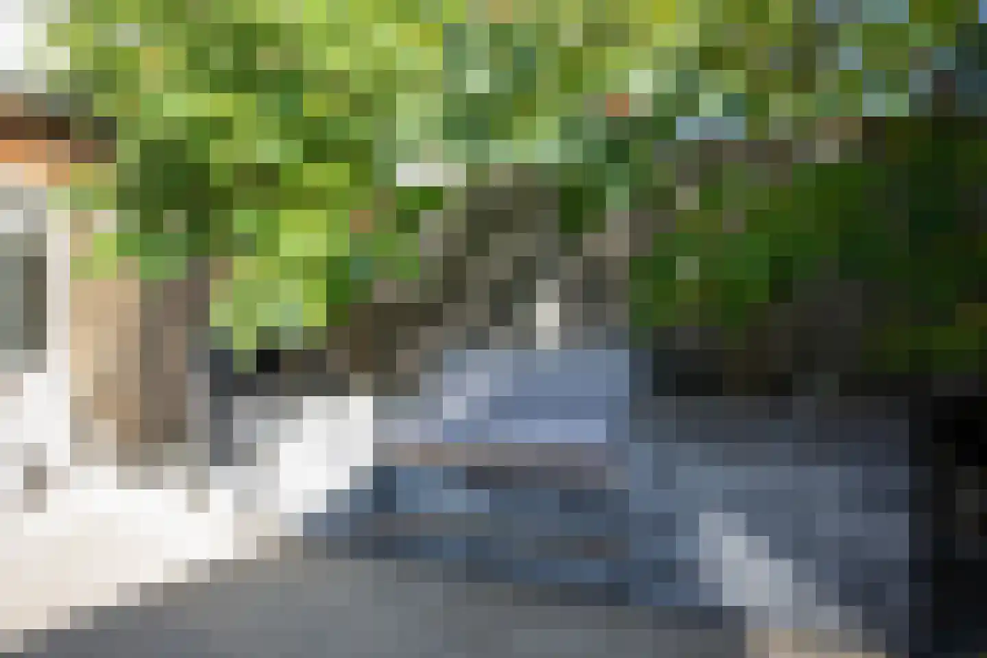 Burcht 7 Almelo thumbnail 46