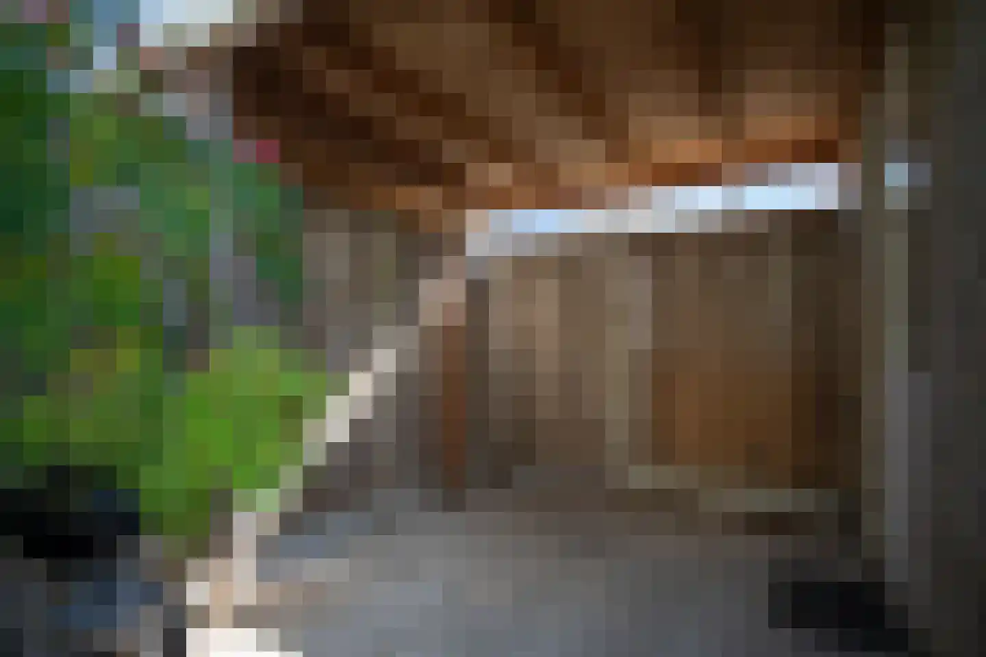Burcht 7 Almelo thumbnail 52