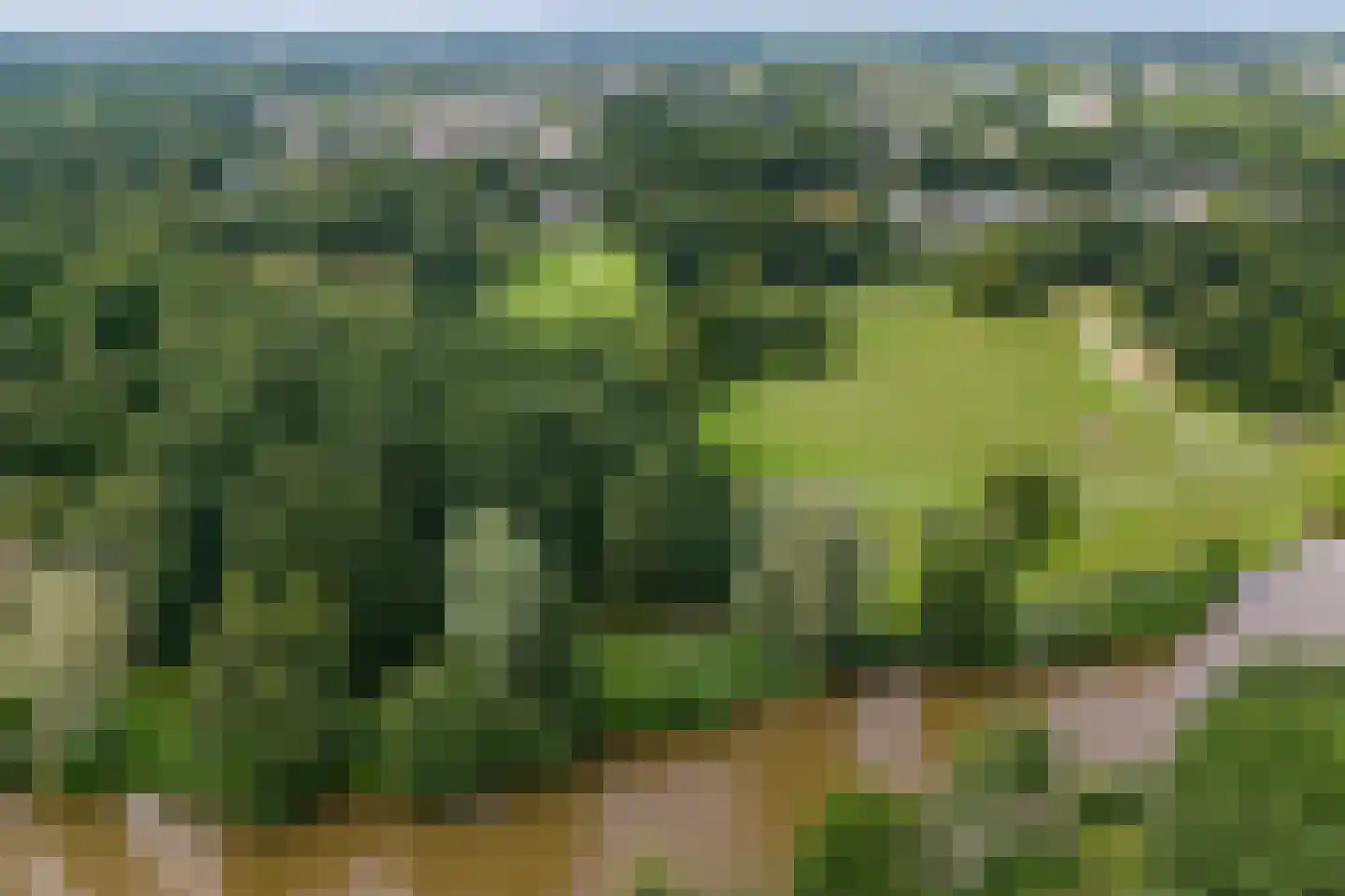 Burcht 7 Almelo thumbnail 53