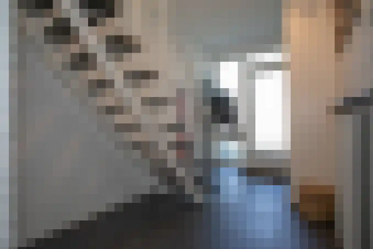 Burcht 7 Almelo thumbnail 9