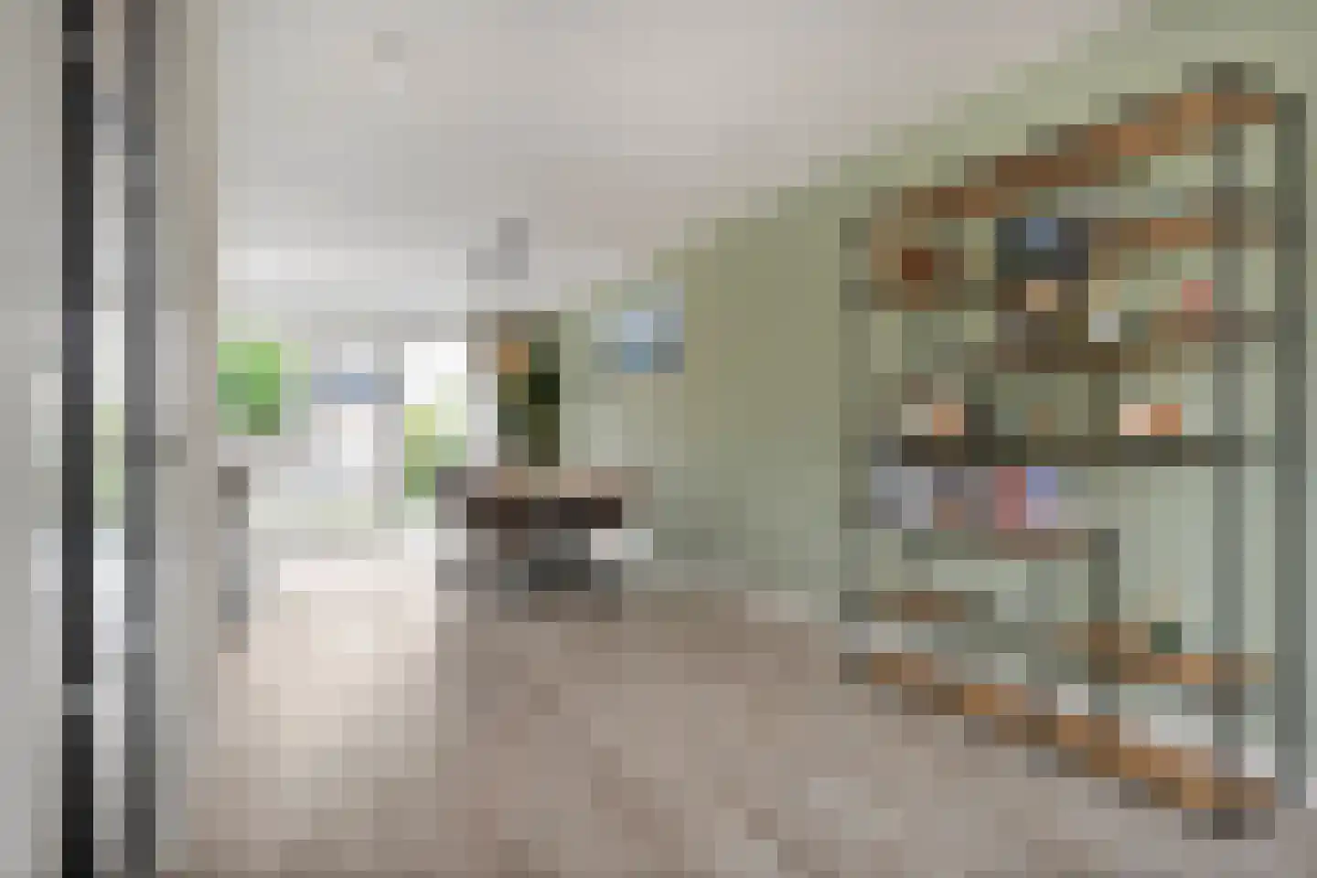 Burcht 75 Rijssen thumbnail 12