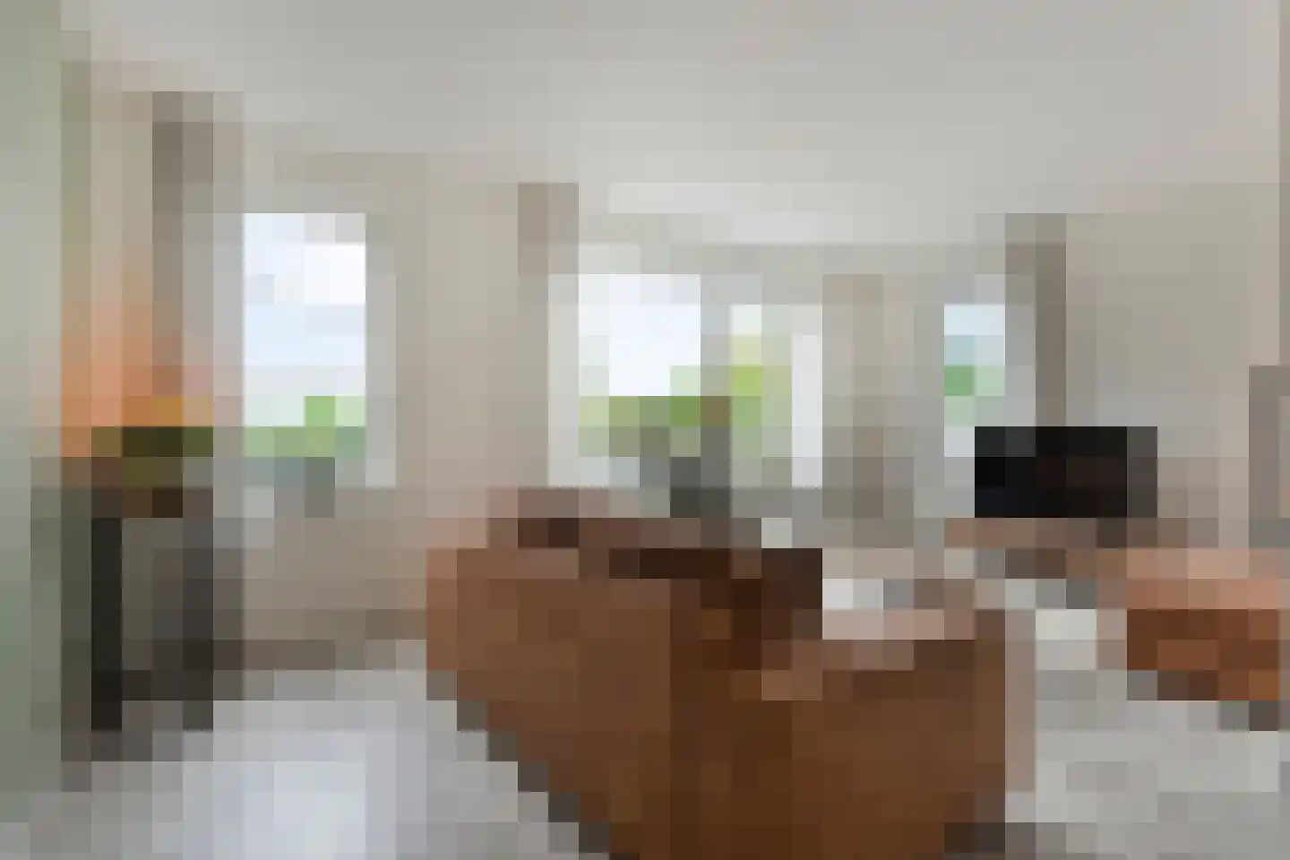 Burcht 75 Rijssen thumbnail 15
