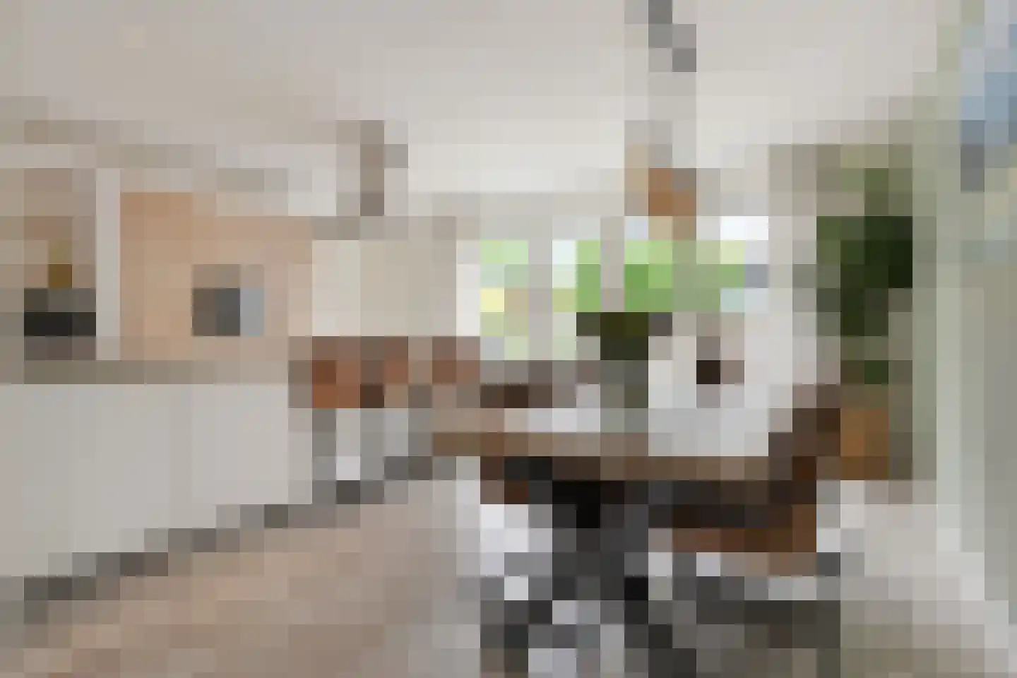 Burcht 75 Rijssen thumbnail 18