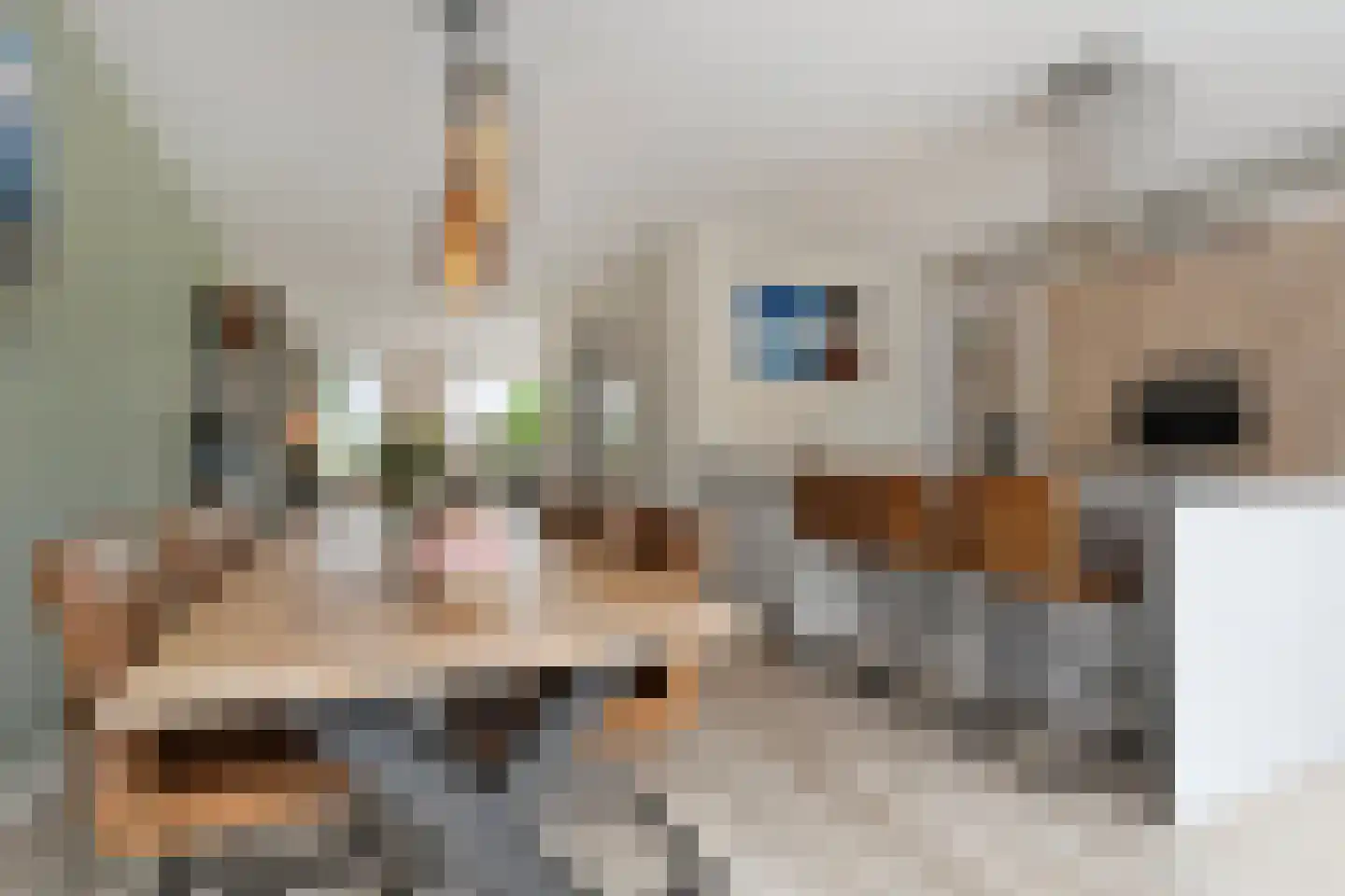 Burcht 75 Rijssen thumbnail 19