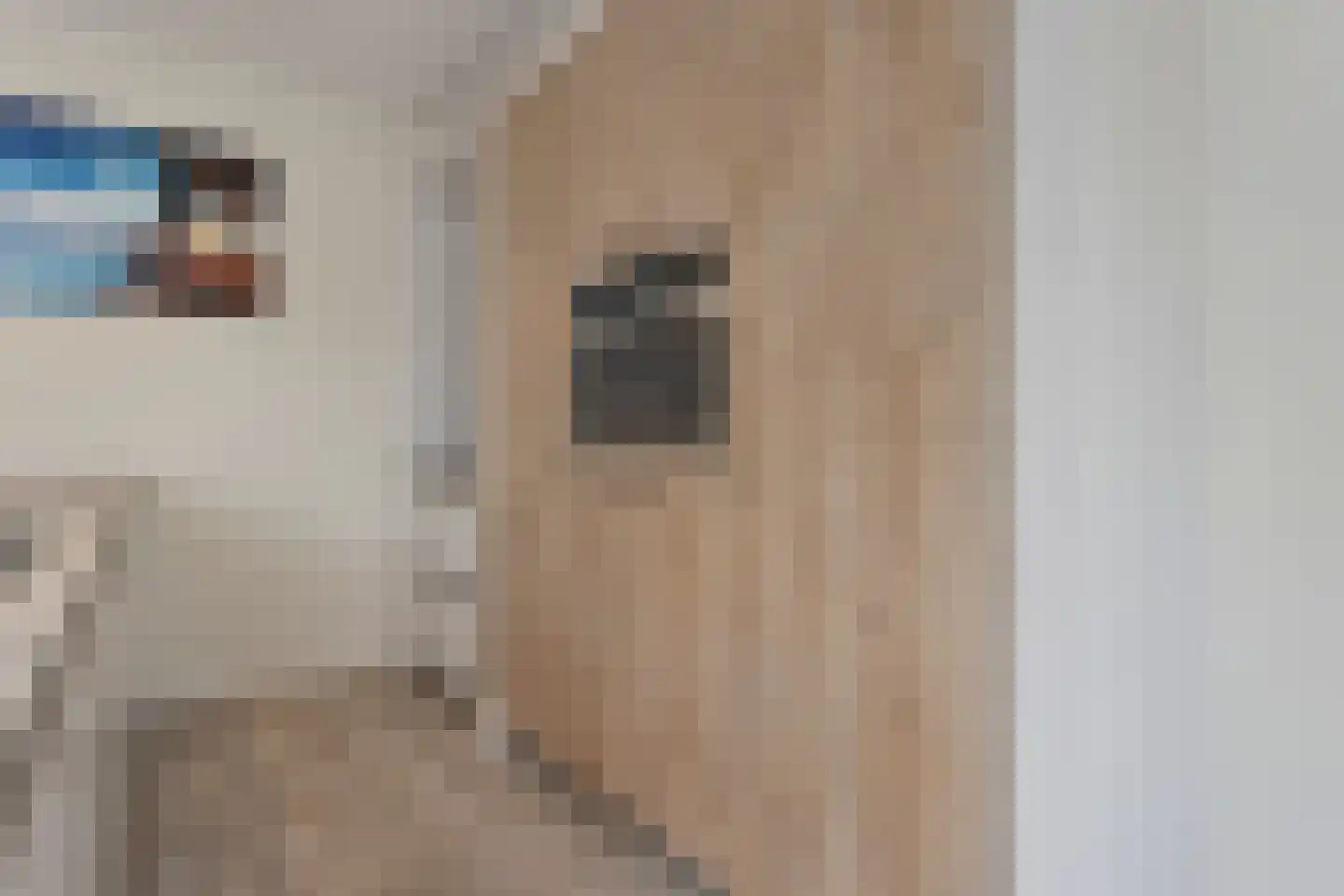 Burcht 75 Rijssen thumbnail 21