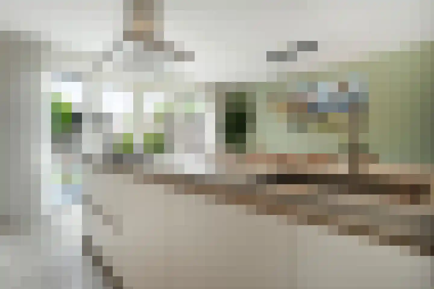Burcht 75 Rijssen thumbnail 22