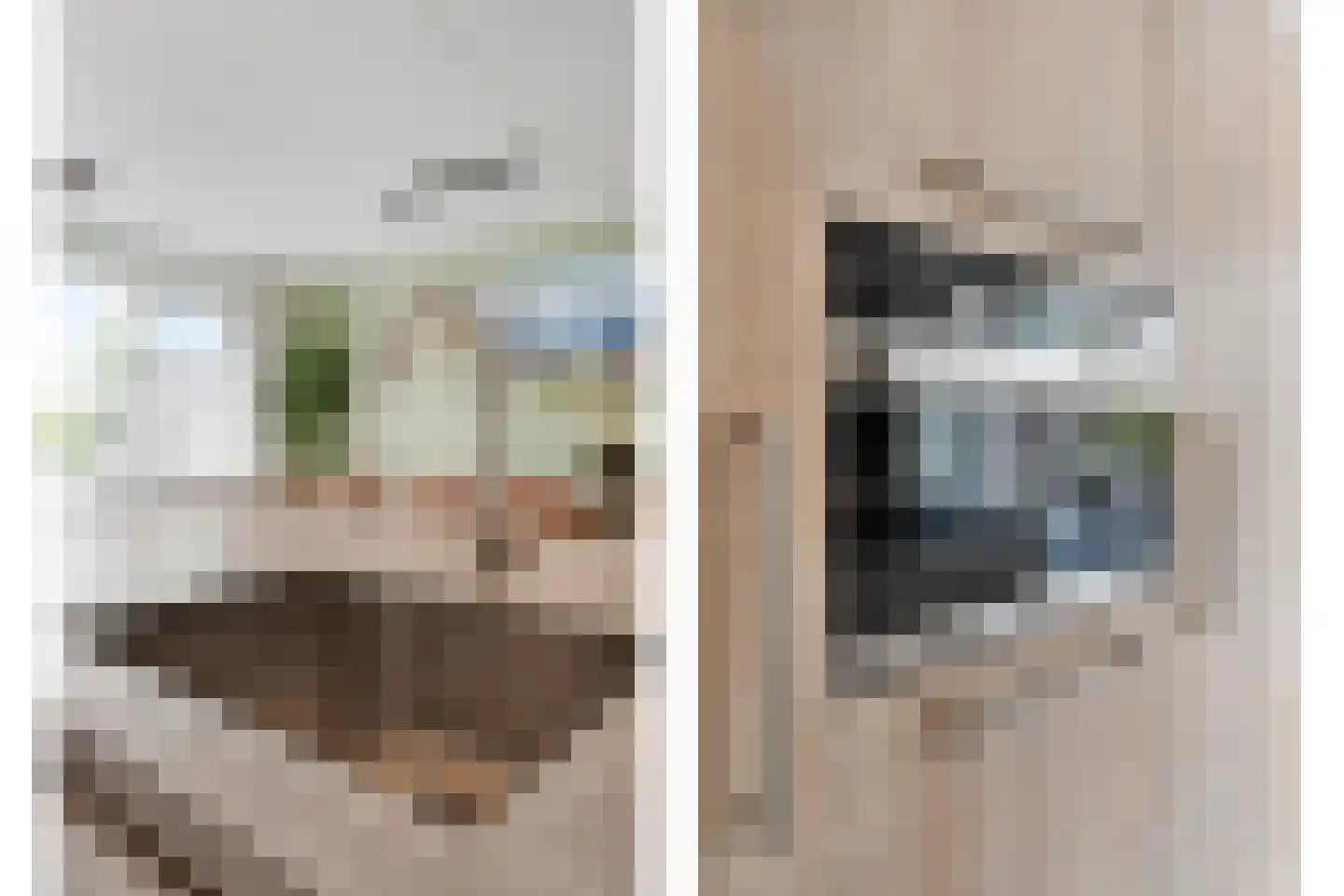 Burcht 75 Rijssen thumbnail 23