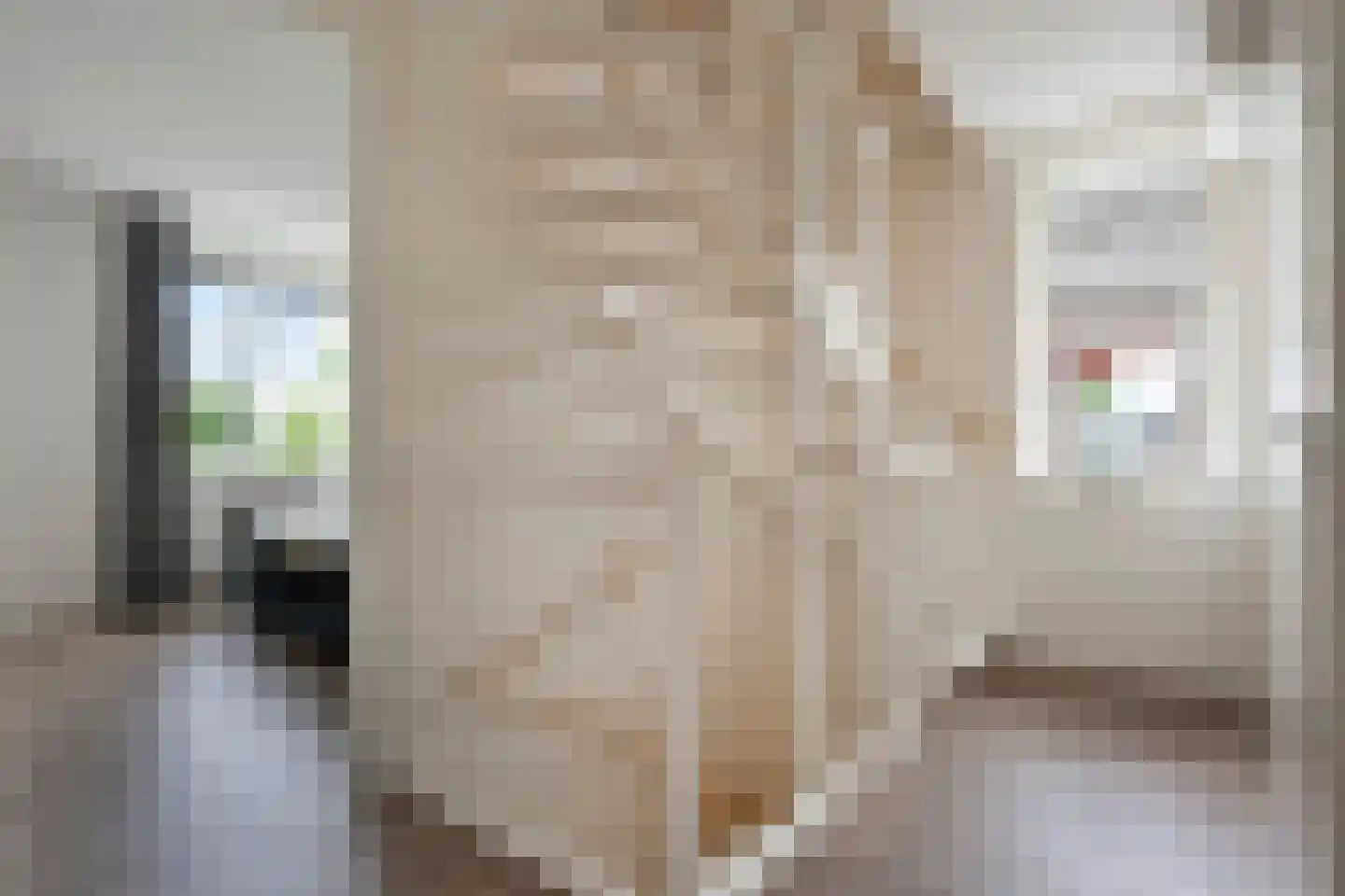 Burcht 75 Rijssen thumbnail 28