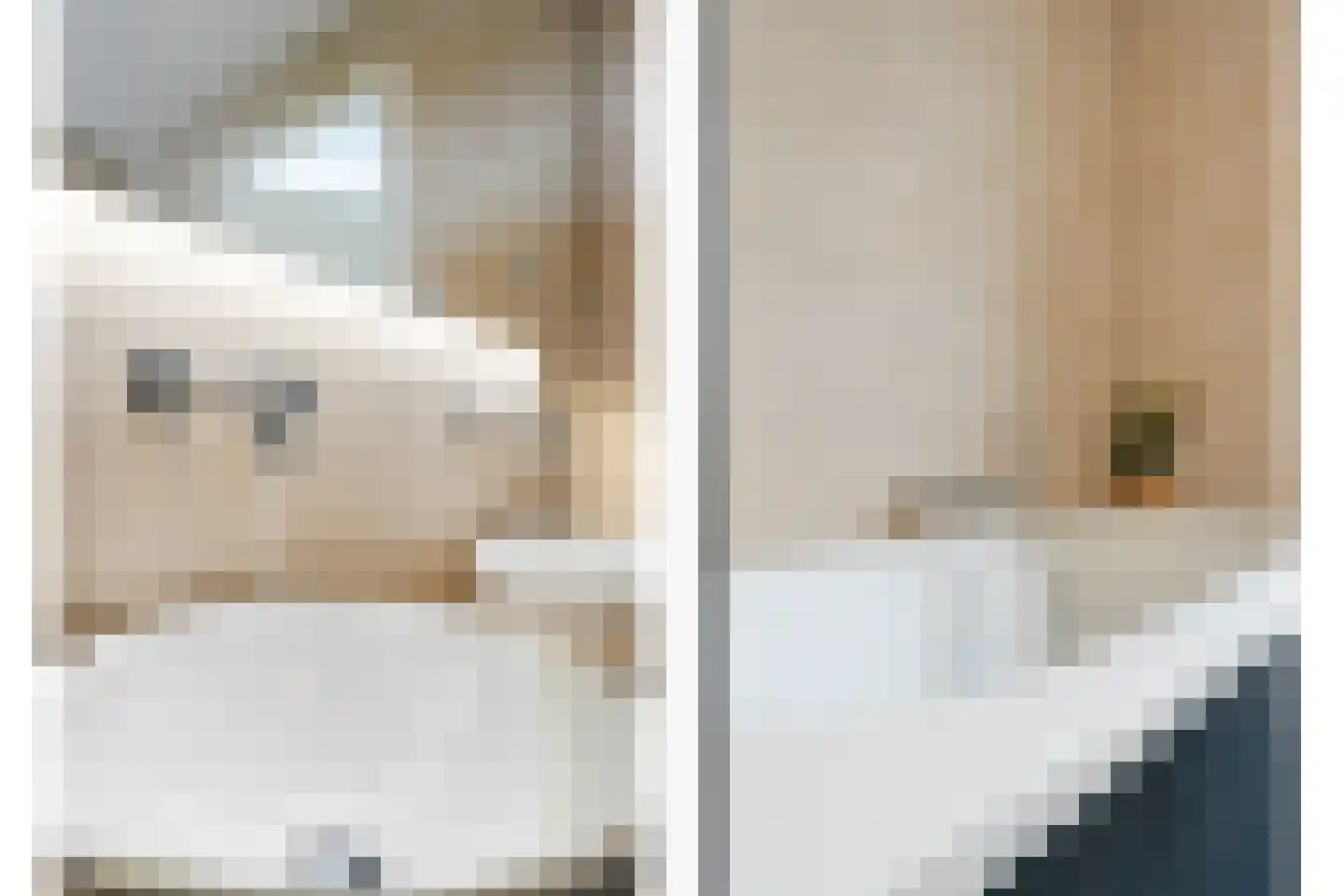Burcht 75 Rijssen thumbnail 36