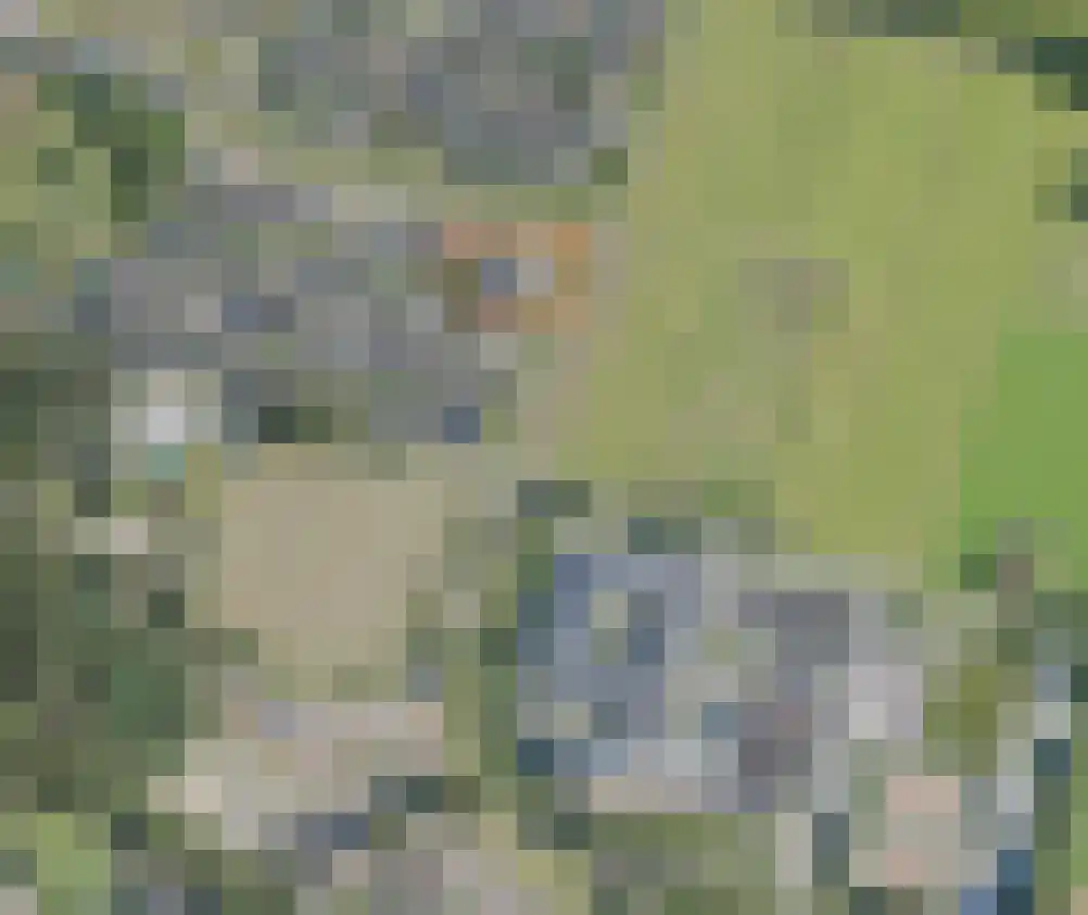 Burcht 75 Rijssen thumbnail 50