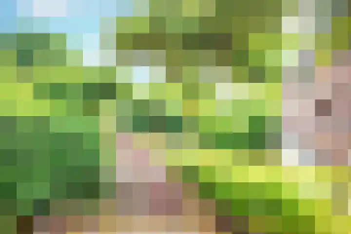 Burchtdrift 1 Nieuwegein thumbnail 39