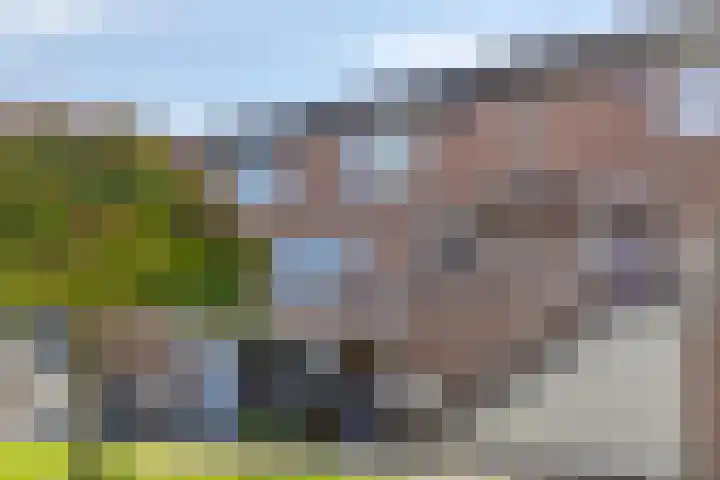 Burchtdrift 19 Nieuwegein thumbnail 22