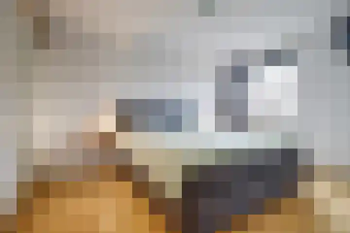 Burchtenlaan 15 's-Hertogenbosch thumbnail 22