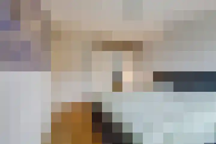 Burchtenlaan 15 's-Hertogenbosch thumbnail 23