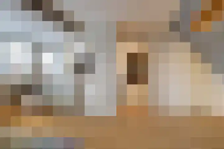 Burchtenlaan 15 's-Hertogenbosch thumbnail 30