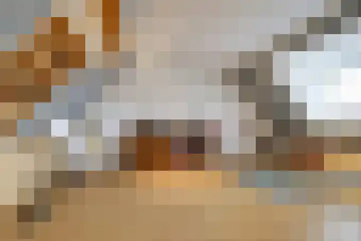 Burchtenlaan 15 's-Hertogenbosch thumbnail 32