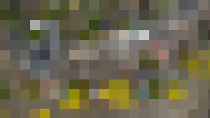 Burchtenlaan 15 's-Hertogenbosch thumbnail 43