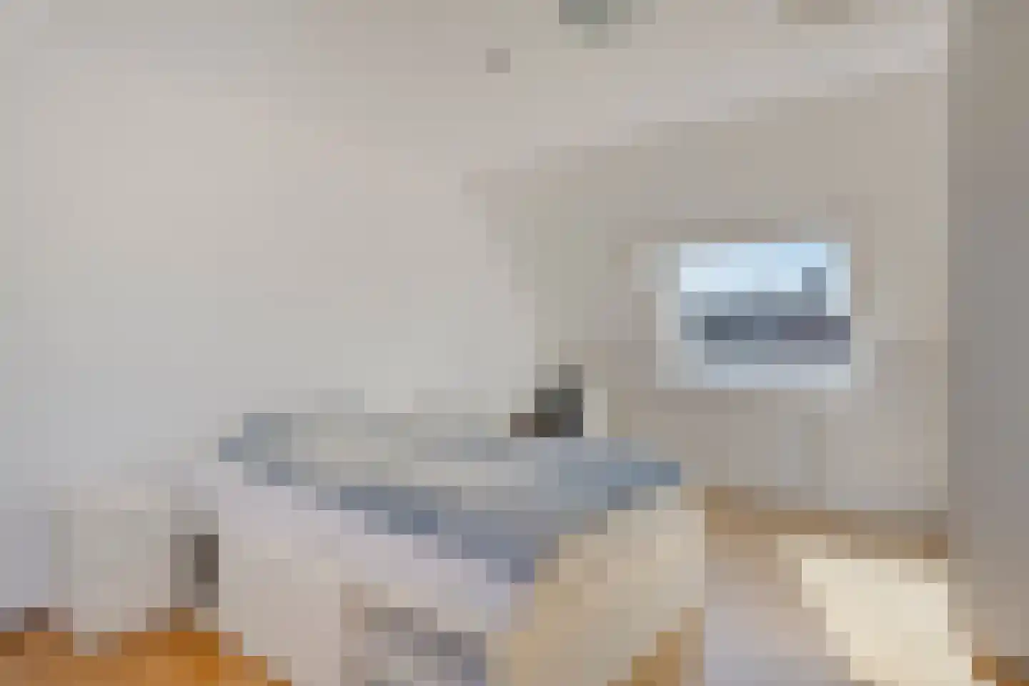 Burchtenlaan 232 Den Bosch thumbnail 29