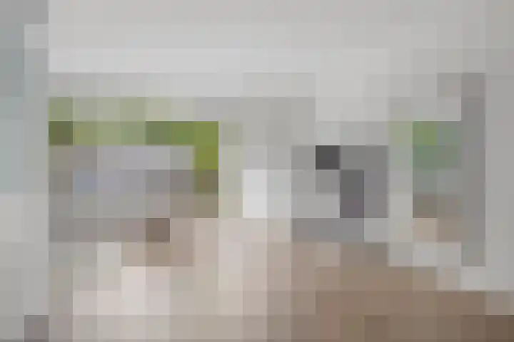 Burchtenlaan 3 's-Hertogenbosch thumbnail 10