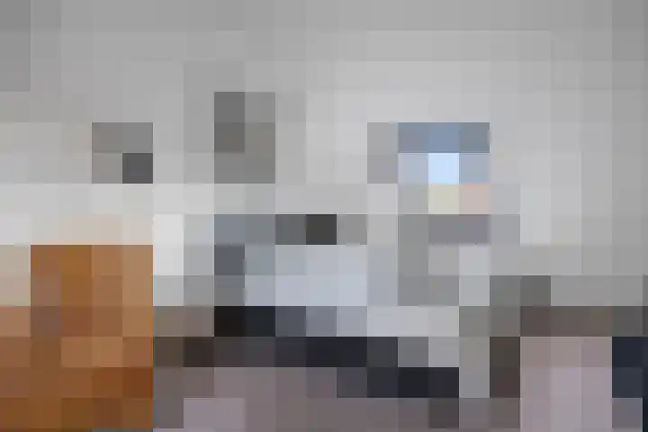 Burchtenlaan 3 's-Hertogenbosch thumbnail 26