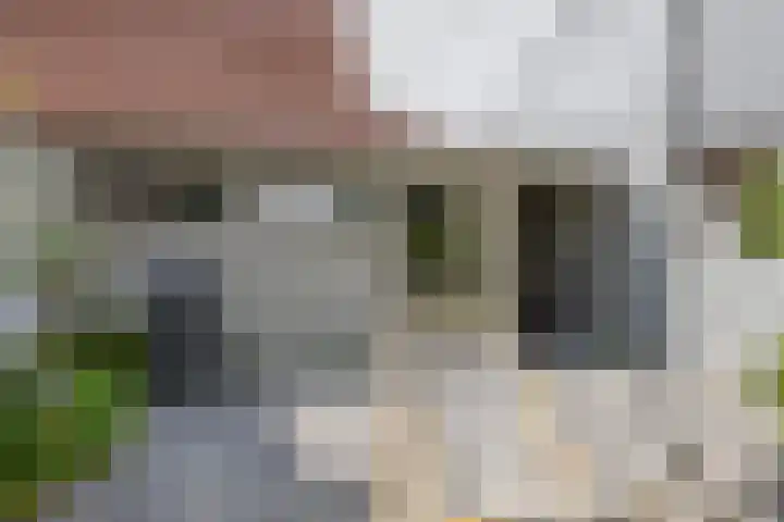 Burchtenlaan 3 's-Hertogenbosch thumbnail 30