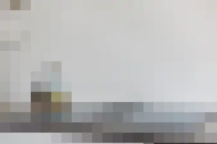 Burchtenlaan 3 's-Hertogenbosch thumbnail 8
