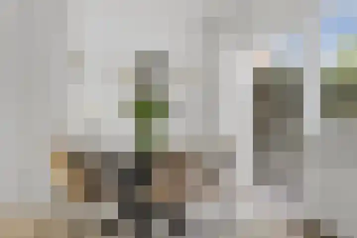 Burchtenlaan 3 's-Hertogenbosch thumbnail 9
