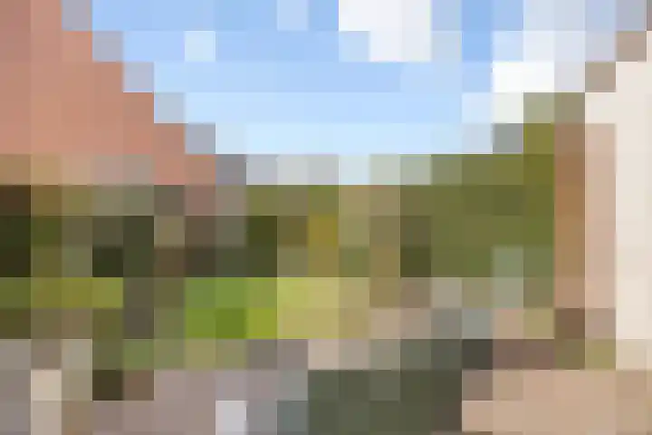 Burchtenlaan 31 's-Hertogenbosch thumbnail 23