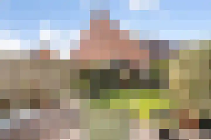 Burchtenlaan 31 's-Hertogenbosch thumbnail 24